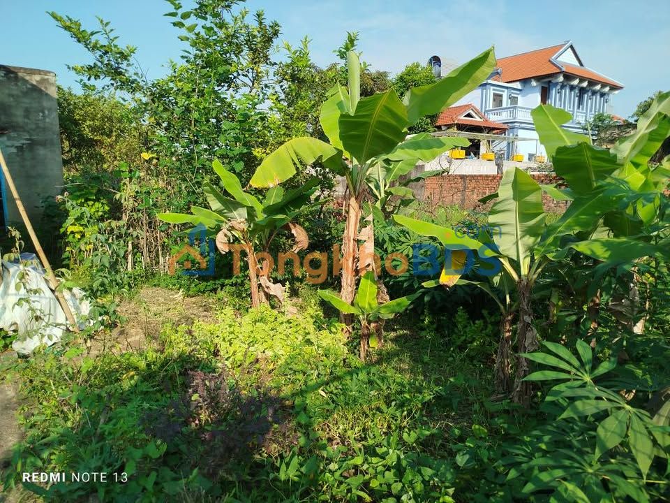 Bán Đất 120m² Thôn An Đông, Đà Nẵng - Sẵn Sổ, Đường 5m