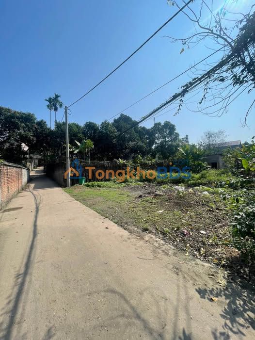 Đất Tân Quang Gia Sàng 206m² 3 tỷ - Tiềm năng tăng giá