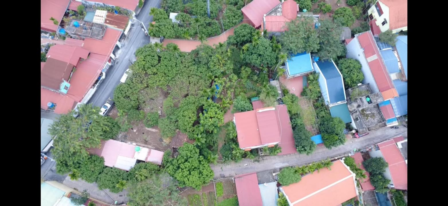 Đất nền Phường Hiến Nam, Hưng Yên - 81m² nở hậu đón tài lộc