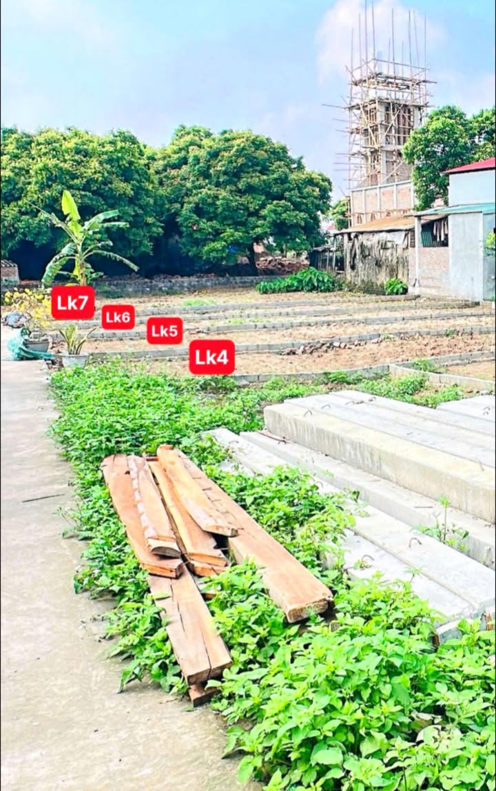 Đất Nền Hưng Yên Dưới 800 Triệu - 77m² Hướng Đông, Ô tô Vào Đất