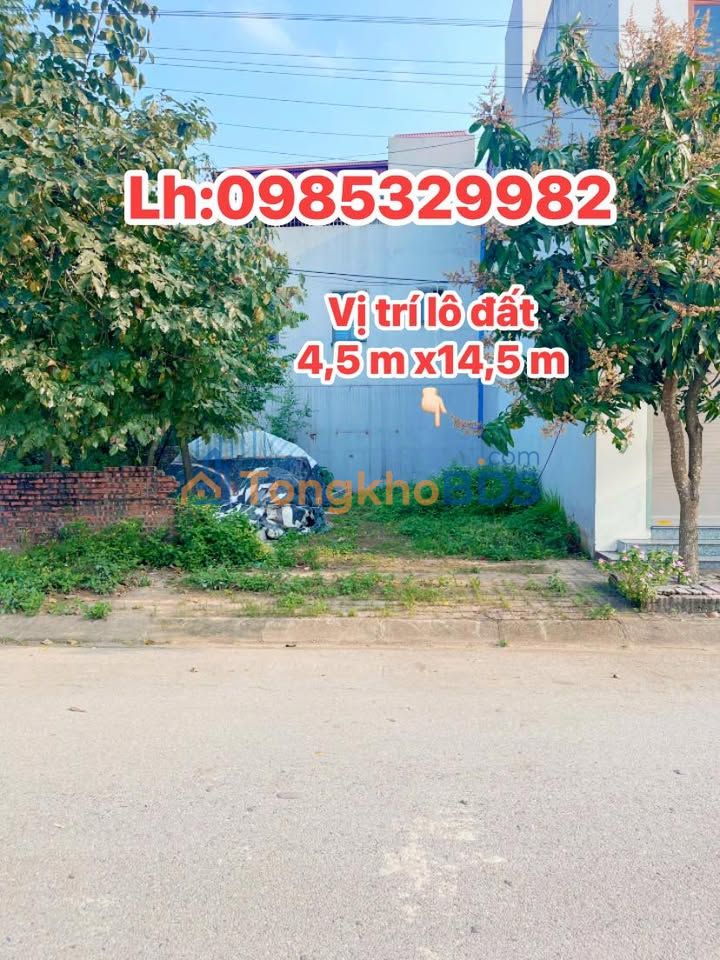 Đất Nền Phố Hiến 65m² - Sổ Đỏ Rõ Ràng, Giá 2 Tỷ