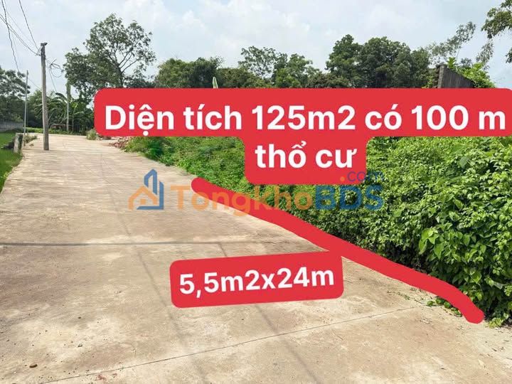 Đất nền Phường Cải Đan, Sông Công 125m² - Sổ đỏ, 100% thổ cư, giá tốt