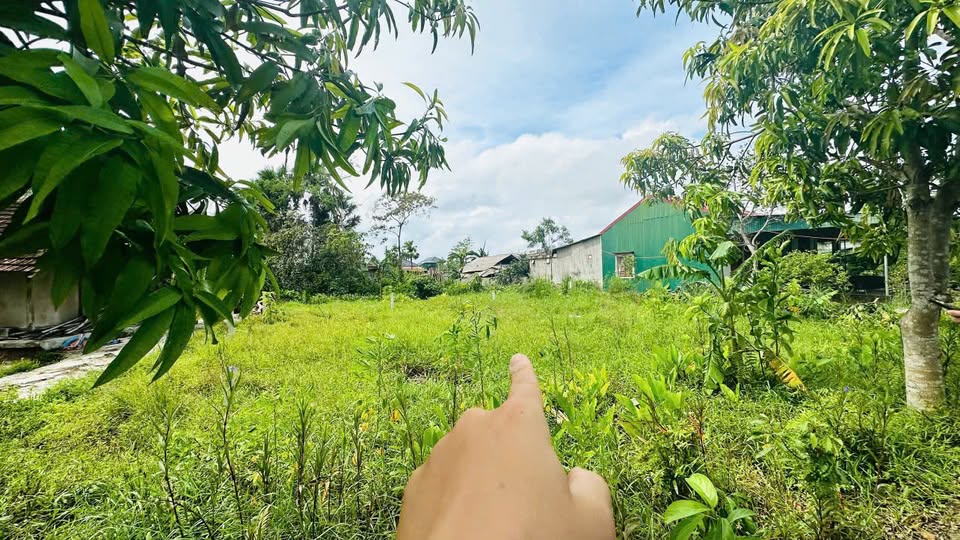 Đất Nền Thạch Hà 259m² - Sổ Đỏ Chính Chủ, Dân Cư Đông Đúc