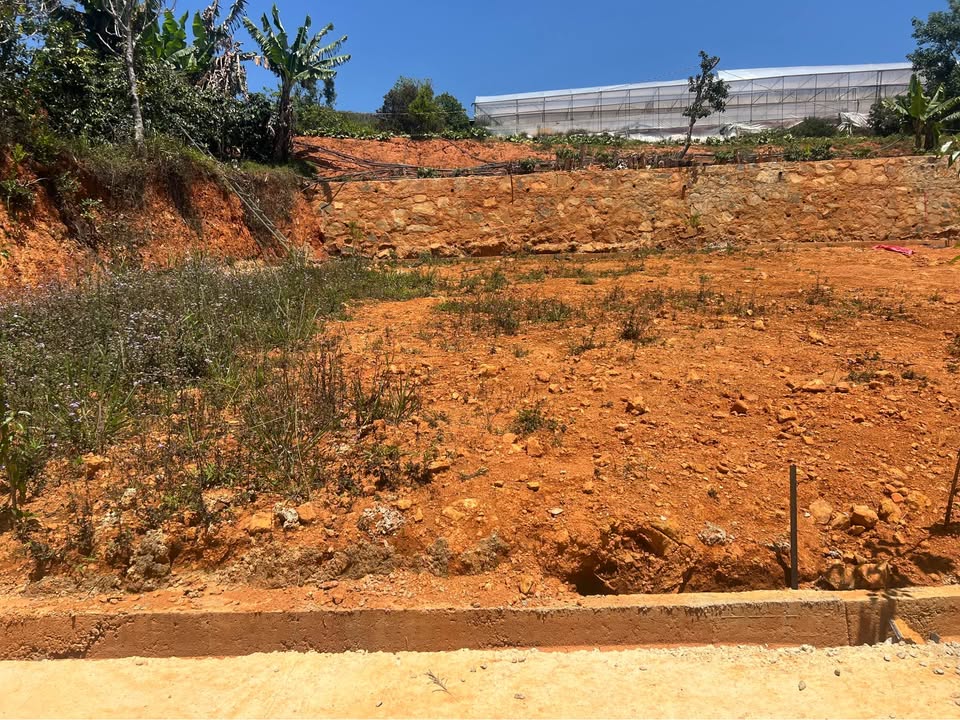 Đất Nền Lâm Đồng 88m² - Giá 300 Triệu, Sổ Nông Nghiệp