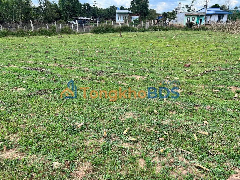 Đất Đơn Dương 250m² Sổ Hồng 450 Triệu - View Chùa Samten Hills