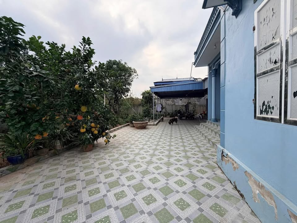 Bán Đất Vườn Nam Định 567m² - Sổ Đỏ Chính Chủ, Giá 2 Tỷ