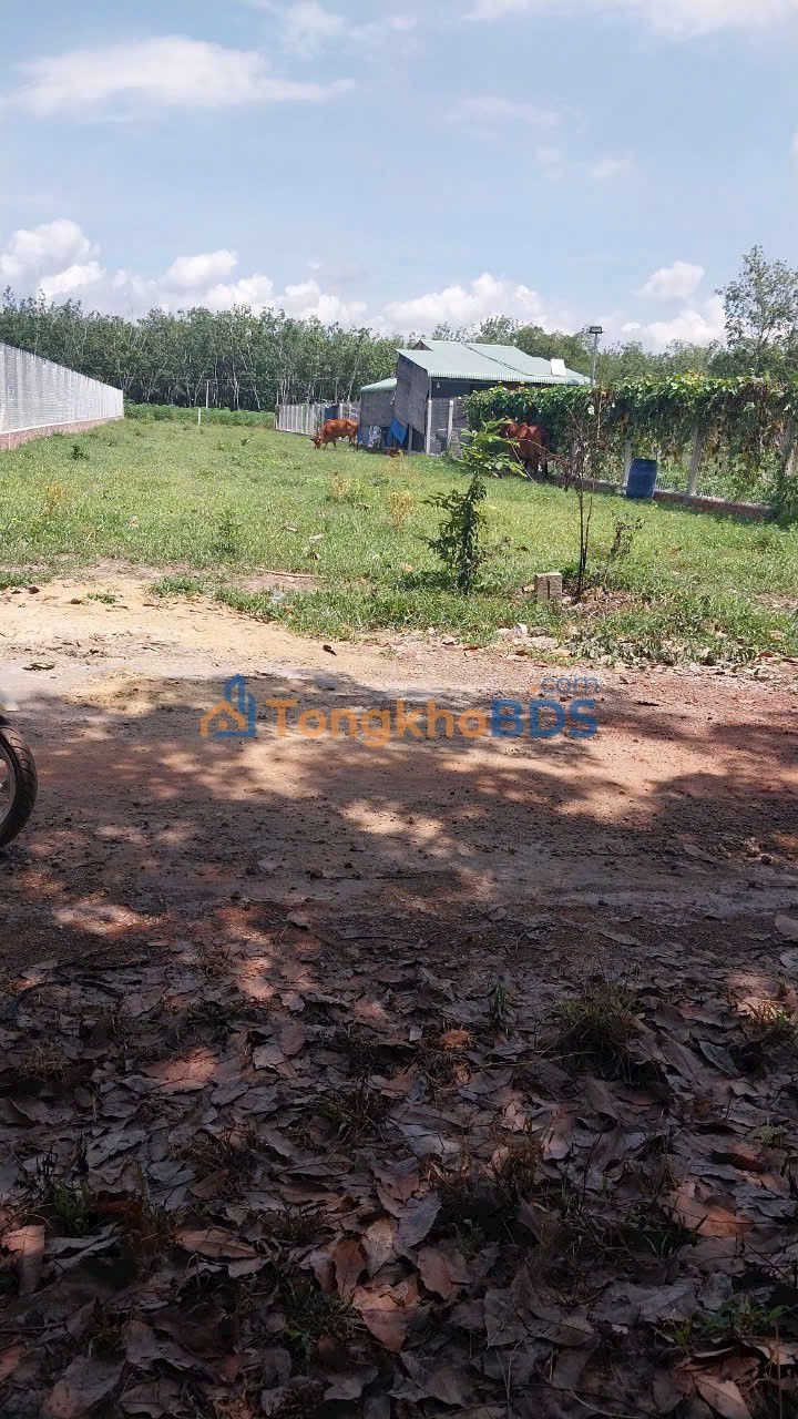 Bán đất 500m² Phường Ninh Thạnh, TP. Tây Ninh - Giá 360 Triệu