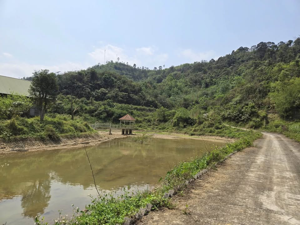 Bán Gấp Đất Vườn Rừng 4ha Xã Độc Lập, Hòa Bình - Sổ Đỏ Rõ Ràng