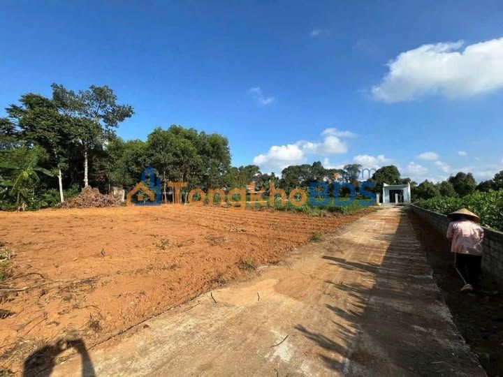 Đất Xã Lỗ Triệu Sơn 120m² 2xx tr - Sổ đỏ chính chủ