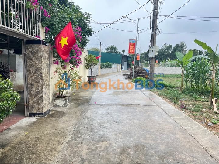 Đất nền Yên Hùng Yên Định 122m² 300 triệu - Đất thổ cư 100%