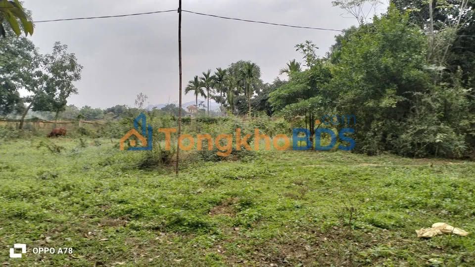 Đất nông nghiệp Yên Mỹ 2416m² 6 tỷ - Sổ đỏ chính chủ