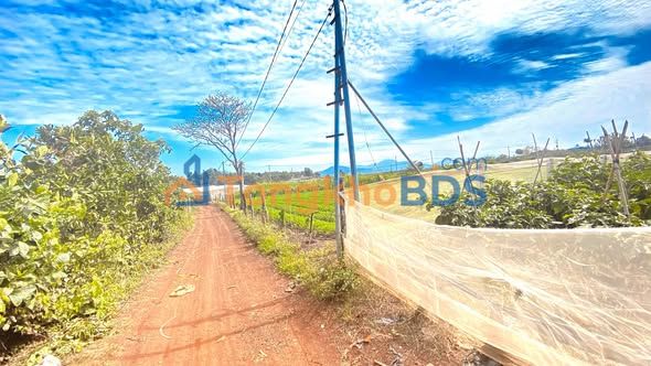 Đất 6000m² Hẻm DH2 Đức Trọng - Sổ đỏ thổ cư 20% - Giá 6 tỷ