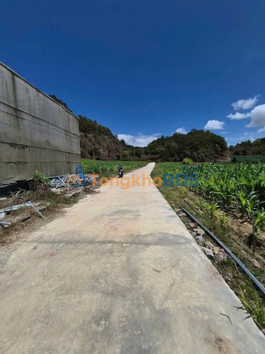 Đất Nền Thạnh Mỹ Đơn Dương 4000m² - View Rừng Thông, Sổ Đỏ, Giá 4.6 Tỷ