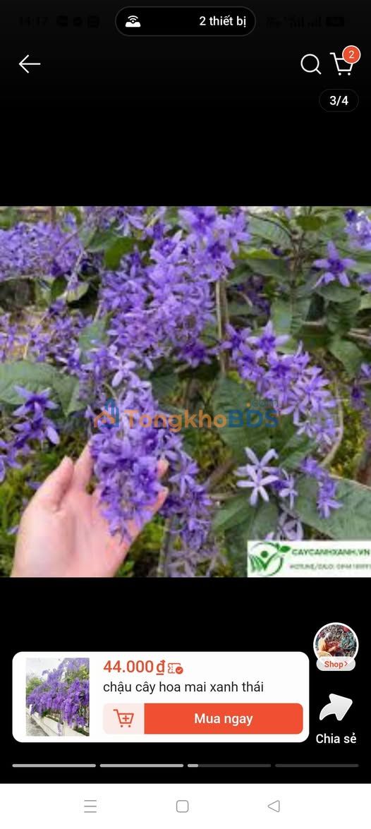 Nhà 3 Tầng Đông Nam 80m² - 4 Tỷ Tại Đường Thành Thái, Đông Thọ