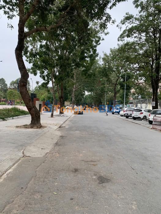 Đất Tặng Nhà C4 Phố Đông Bắc Ga, Thanh Hóa - 171m² Kinh Doanh Đắc Lộc