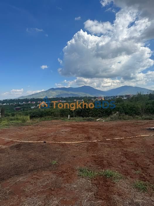 Đất nền 240m² Sổ hồng riêng, Di Linh - Giá chỉ 4.8 tỷ