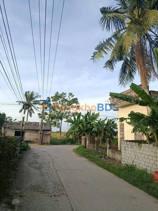 Đất Nền Quảng Phú, Thanh Hóa 187m² - Sổ Đỏ Riêng, Giá Hơn 2 Tỷ