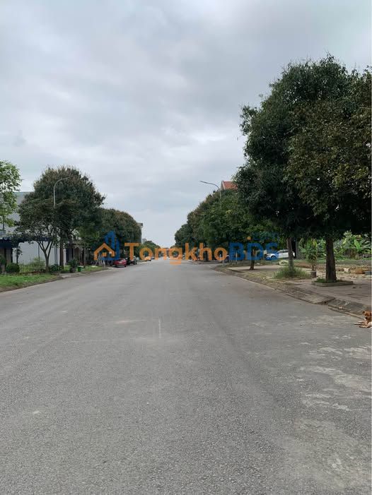 Đất Vàng 114m² Đường Hàng Cau, TP Thanh Hóa - Vỉa Hè 28m, Giá Tốt