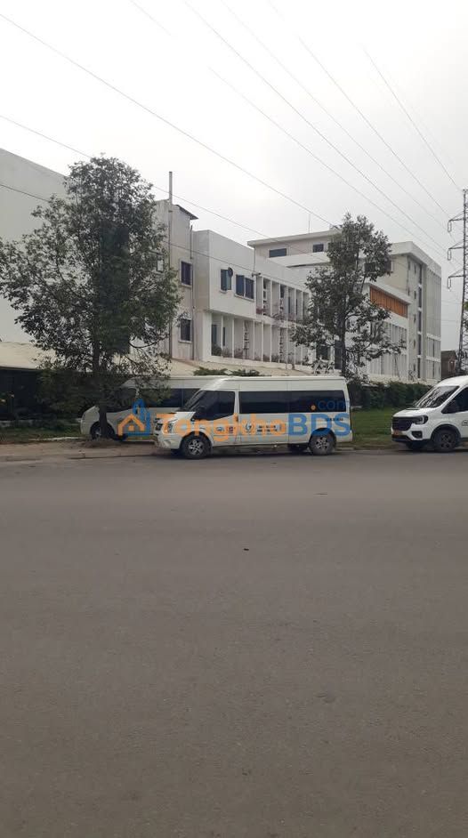 Đất Biệt Thự 310m² Mặt Tiền 15m Hướng Tây Bắc - Gần Trường Nobel, Thanh Hóa