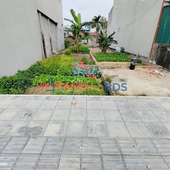 Đất nền Đông Anh 82m² - Sổ đỏ sẵn, view KCN tiềm năng