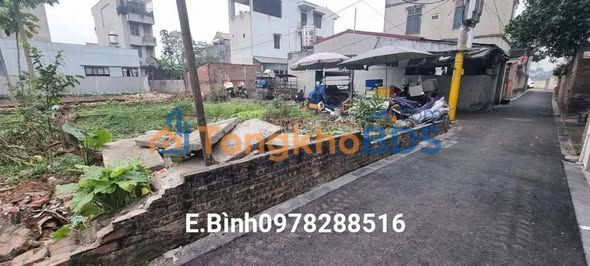 Đất nền Đông Anh 50m² - Sổ hồng chính chủ, ô tô vào đất