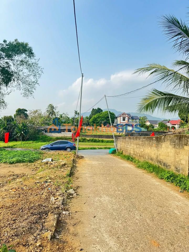 Đất Sông Lô 100m² Full Thổ Cư - Giá Dưới 600 Triệu