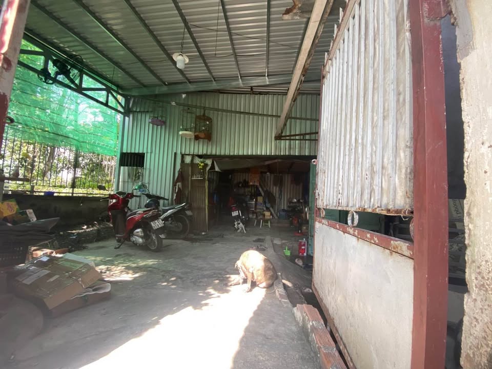 Đất Nền 156.6m² Lã Xuân Oai, TP Thủ Đức - Ngang 8m Hiếm, Giá 4.6 Tỷ Đầu Tư Sinh Lời