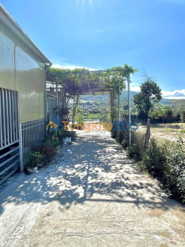 Nhà Mới Xây Đức Trọng 110m² - Sẵn Sàng Dọn Vào Ở Ngay!