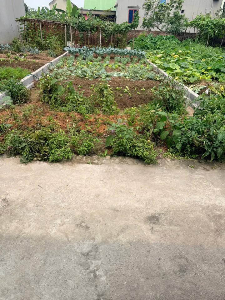 Đất nền Hồng Vân, Ứng Hòa - 68m² sổ đỏ, nhỉnh 4 tỷ - Đầu tư sinh lời cao