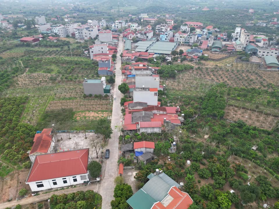 Bán đất thổ cư Mai Tô, Lục Ngạn 100m² - Gần QL 31, kinh doanh tốt