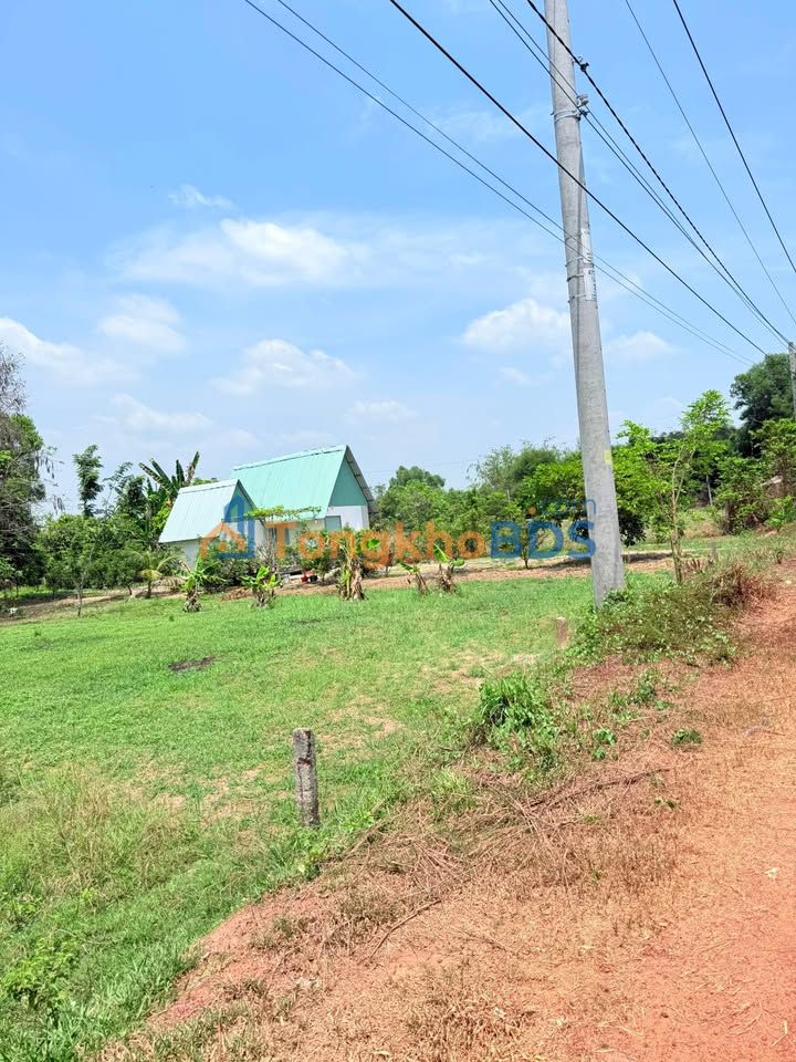 Bán Gấp Đất Vườn 9000m² Mặt Tiền Sỏi Đỏ Phường Ninh Thạnh, Tây Ninh - Giá Tốt