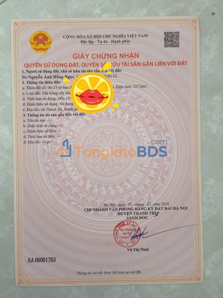 Đất Sổ Hồng Yên Mỹ, Thanh Trì 227m² - Giá Đầu Tư 2.5 Triệu/m²