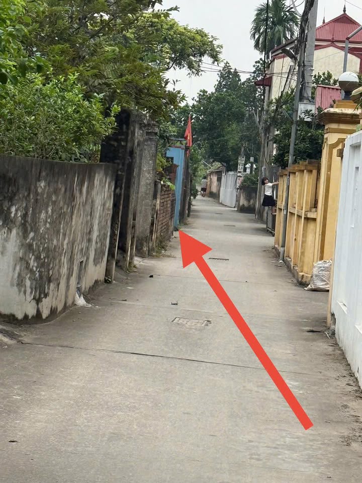 Đất Vàng Hưng Yên - 131m² Thôn Đồng Lý, Kim Động - Tặng Nhà Thu Tiền Tỷ!