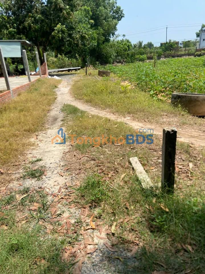 Bán Gấp Gần 1 Công Đất Thạnh Tân, Tây Ninh - Chỉ 400 Triệu