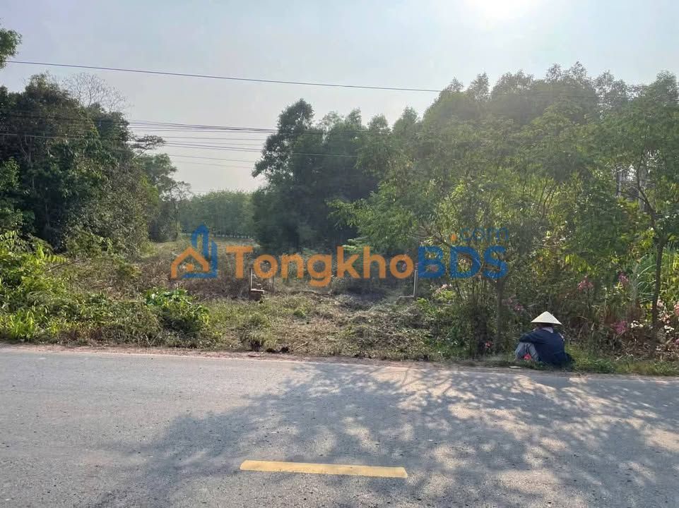 Bán Gấp Đất Mặt Tiền Đường 788 Châu Thành - 1650m² Giá 330 Triệu