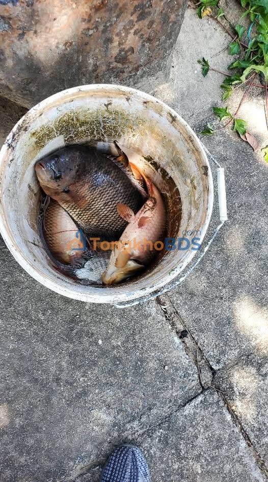 Nhà 2 mặt tiền Hòa Hiệp Trung 100m2 - Chính chủ bán gấp