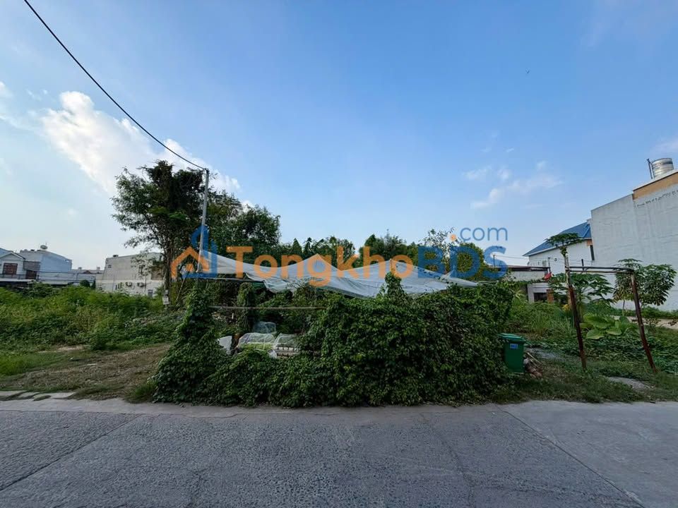 Đất Thổ Cư 263m² Đường Nguyễn Văn Hoài - Sổ Hồng Riêng, Giá 6.5 Tỷ