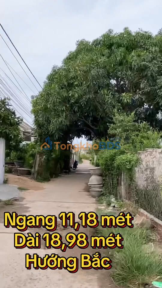 Đất Nền Hẻm Mậu Thân, Tuy Hoà 211m² - Sổ Đỏ Thổ Cư, Ô Tô Tận Nơi