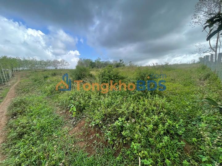 Đất Sổ Đỏ 5040m² Eabar, Phú Yên - Giá 1xx Triệu/Lô