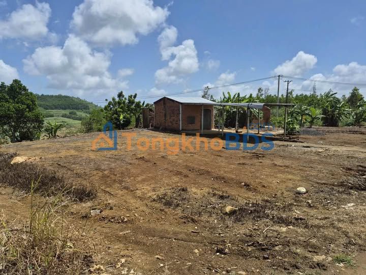 Đất nền Tuy An, Phú Yên 1409m² - Sổ hồng full thổ, mặt tiền DT 643