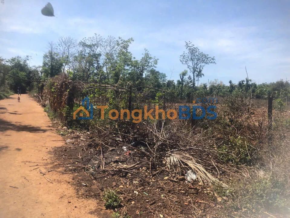 Đất nền Cư M'gar 5x50m - Sổ đỏ thổ cư, giá chỉ 285 triệu/lô