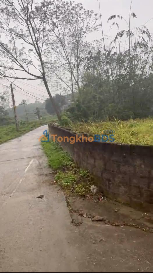 Đất nền Tân Bình Phú Lương 100m2 dưới 300 triệu - Đường to ô tô