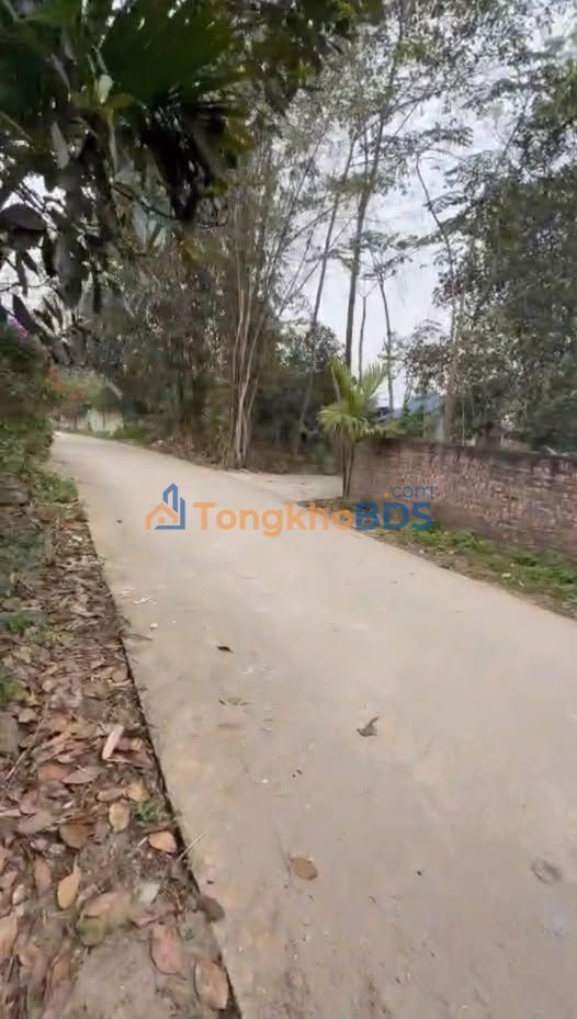 Đất nền Vô Tranh 150m² 700-799 triệu - Sổ đỏ chính chủ