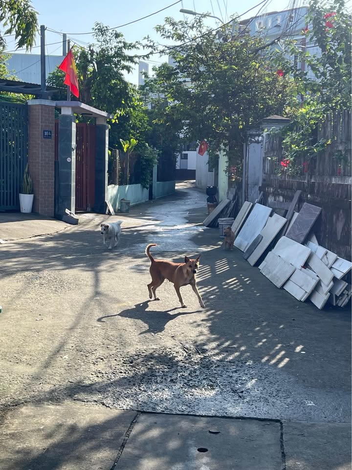 Đất nền 92m² kiệt 3m Trường Chinh, Đà Nẵng - Giá tốt đầu tư