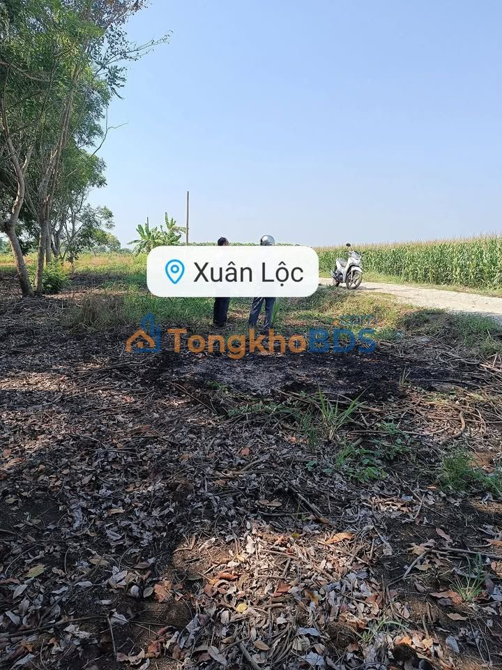 Đất Nền Đồng Nai 3600m² Giá 300 Triệu - Gần Ngã Ba Suối Cát