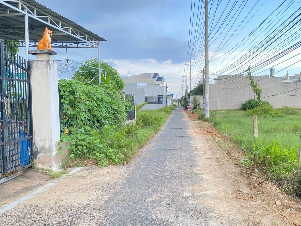 Đất Thổ Cư 100m² Mặt Tiền Đường Cá Đồng, Hàm Thắng - Giá Tốt