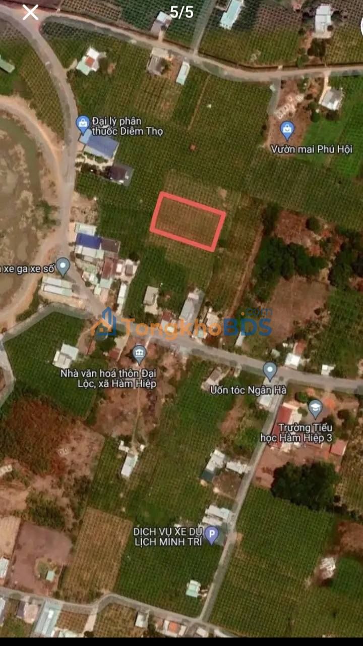 Bán đất 1600m² mặt tiền 31m - 1.25 tỷ - Phan Thiết, Bình Thuận