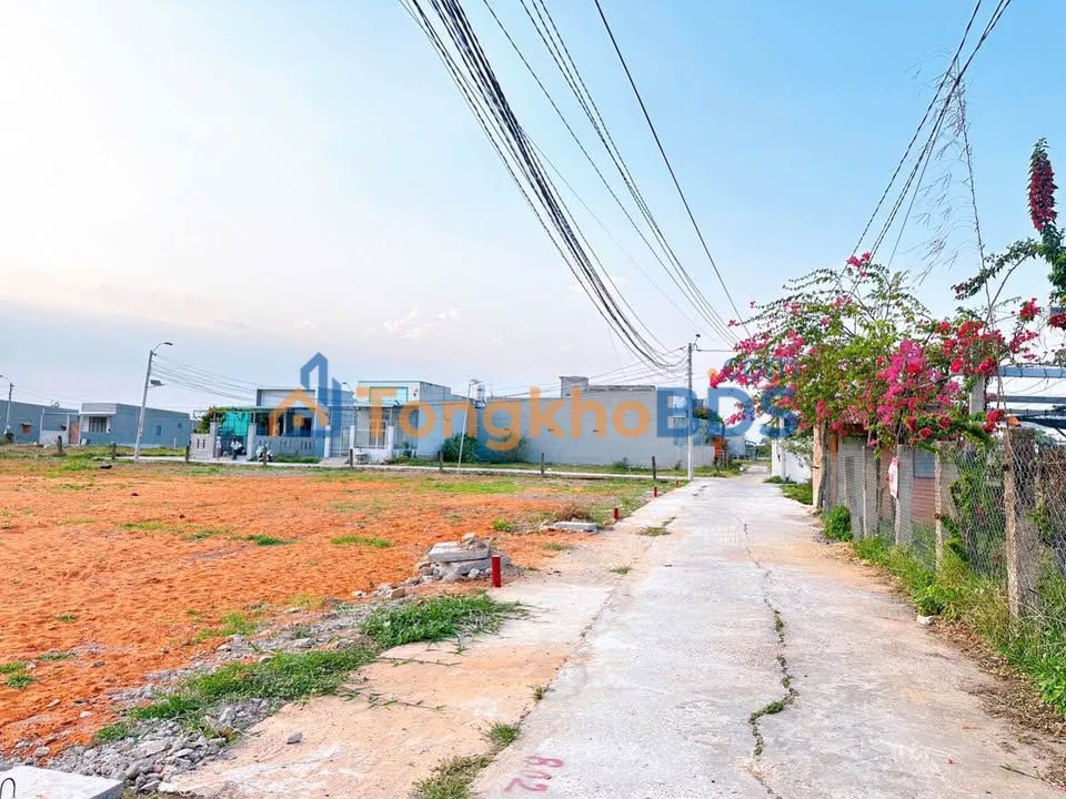 Đất Nền Phong Nẫm 220m² - Sổ Đỏ Full Thổ Cư, Giá Ngộp 950 Triệu