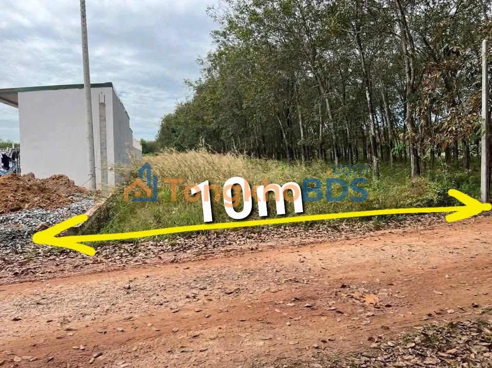 Đất Nền 1000m² Phường Bến Cát, Bình Dương - Sát Xưởng Mới Thành Lập