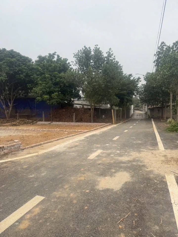 Bán Gấp Đất 135m² Xã Cổ Đông, Sơn Tây - Đường Rộng 2 Ô Tô Tránh Nhau